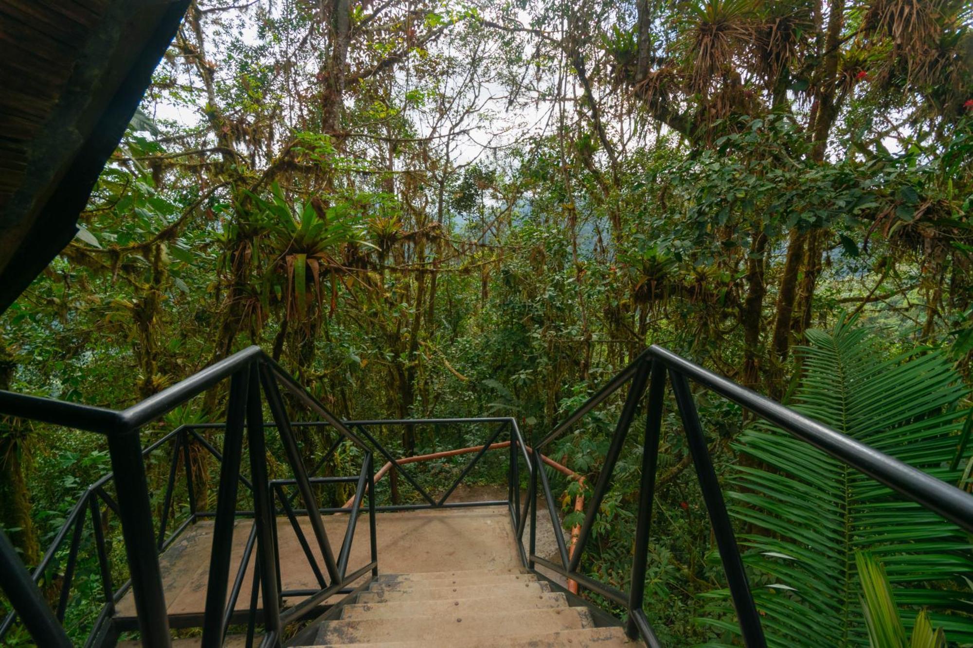 Bellavista Cloud Forest Lodge Tandayapa Esterno foto