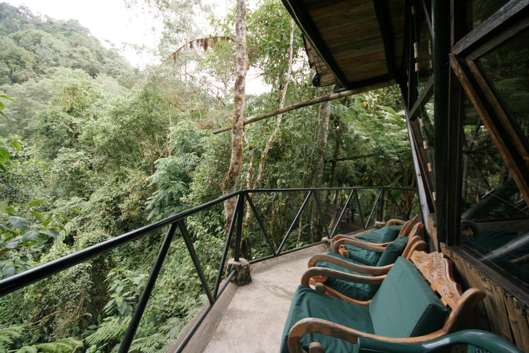 Bellavista Cloud Forest Lodge Tandayapa Esterno foto