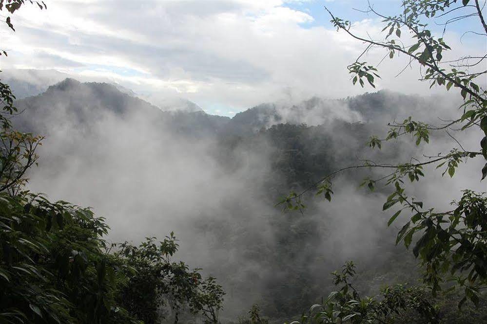 Bellavista Cloud Forest Lodge Tandayapa Esterno foto