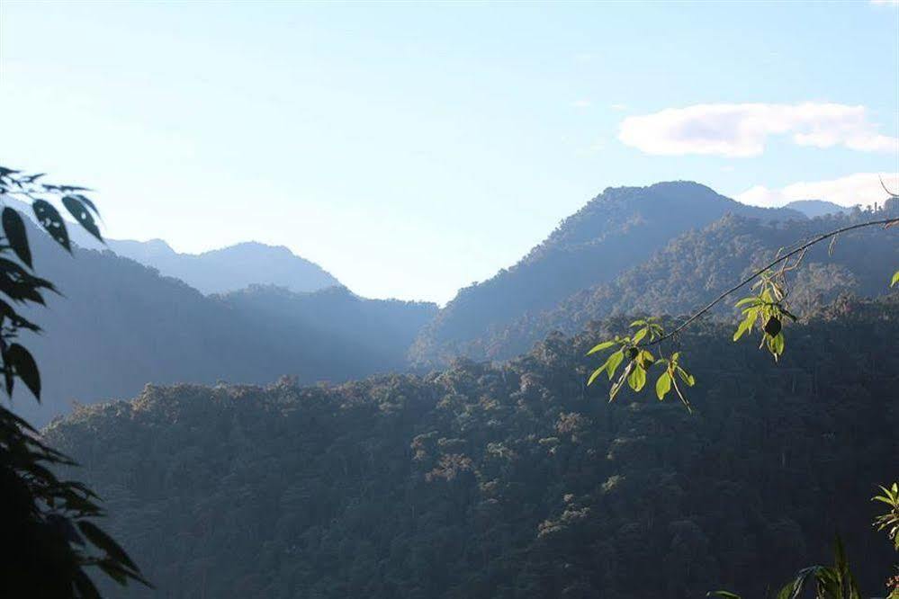 Bellavista Cloud Forest Lodge Tandayapa Esterno foto